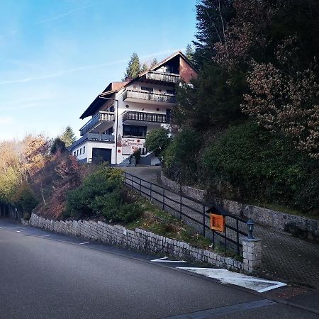 Villa Haus Schwarzwaldblick Hornberg Exterior foto